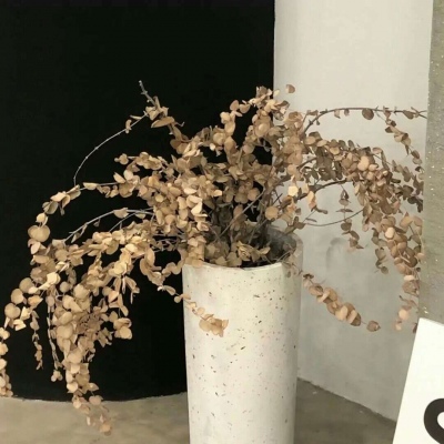 兽设雨夜场景创作Furry群